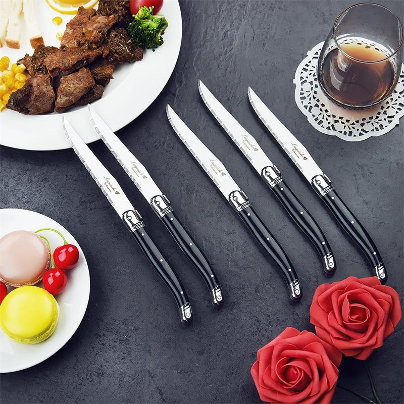 Laguiole Stainless Steel Steak - Home Bar Set 评论和价格